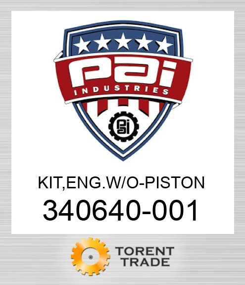 340640-001 Комплект, двигун без - поршень PAI INDUSTRIES