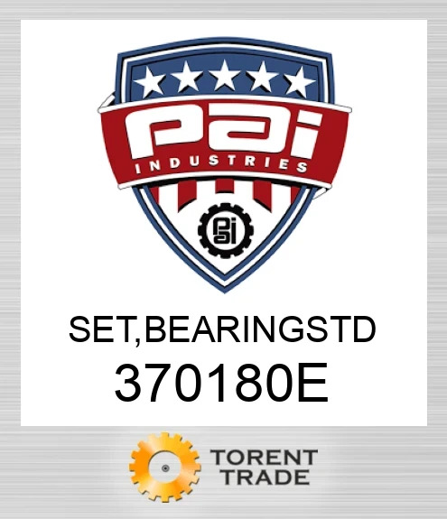 370180E Комплект, bearingstd PAI INDUSTRIES