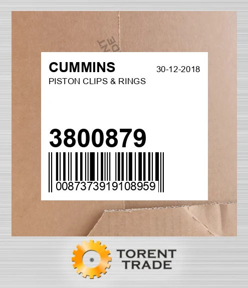 3800879 Поршень, кліпси та кільця CUMMINS NEW AFTERMARKET