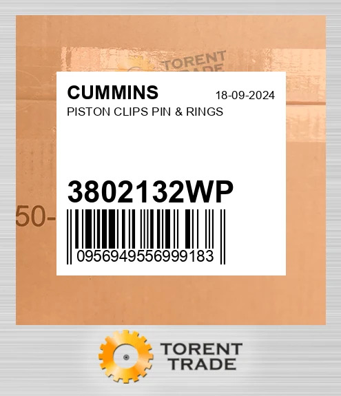 3802132WP Поршень, кліпси, палець і кільця CUMMINS NEW AFTERMARKET