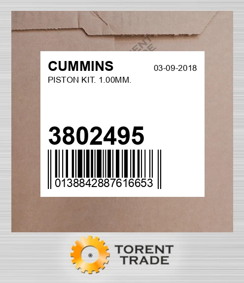 3802495 Поршень комплект. 1.00MM. CUMMINS NEW AFTERMARKET