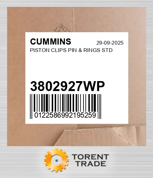 3802927WP Поршень, Кліпси, Палець & Кільця стандартні CUMMINS NEW AFTERMARKET