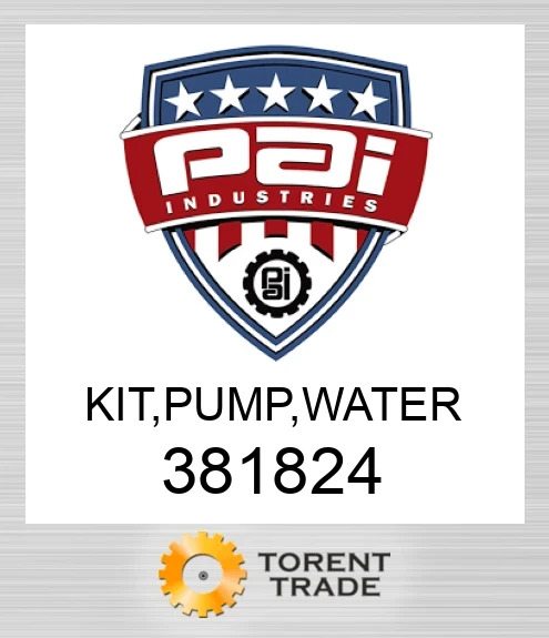381824 Комплект, насос, вода PAI INDUSTRIES
