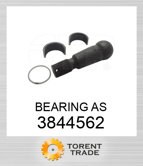 384-4562 Підшипник у складі BLUMAQ