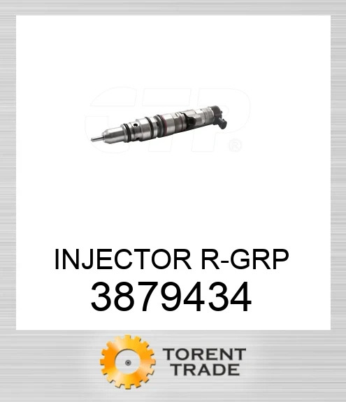 387-9434 Група інжектора R BLUMAQ