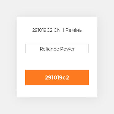 291019C2 CNH Ремінь