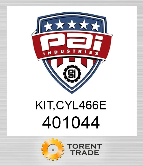 401044 Комплект, cyl 466 e PAI INDUSTRIES