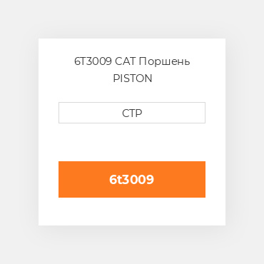 6T3009 CAT Поршень PISTON