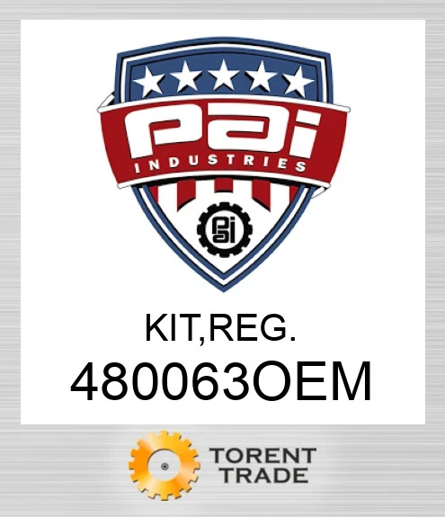 480063OEM Комплект, reg PAI INDUSTRIES