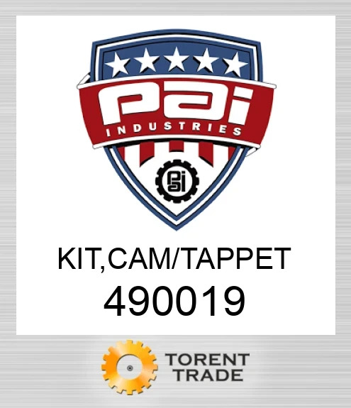 490019 Комплект, розподільчий вал/штовхач PAI INDUSTRIES