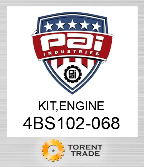 4BS102-068 Комплект, двигун  PAI INDUSTRIES