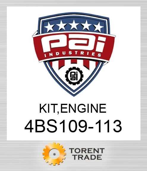 4BS109-113 Комплект, двигун  PAI INDUSTRIES