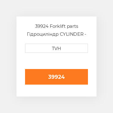 39924 Forklift parts Гідроциліндр CYLINDER - Master