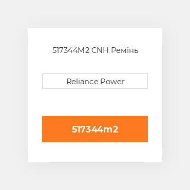 517344M2 CNH Ремінь