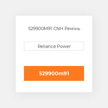529900M91 CNH Ремінь
