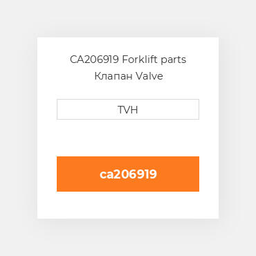 CA206919 Forklift parts Клапан Valve