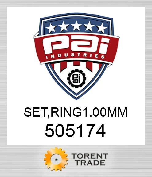 505174 Комплект, ring 100 mm PAI INDUSTRIES