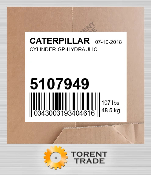 5107949 Група гідравлічного циліндра CATERPILLAR