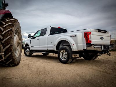 F2TZ3A130D Бризковики - Gatorback від Truck Hardware, задня пара, DRW з платиновою штампованою вставкою з нержавіючої сталі