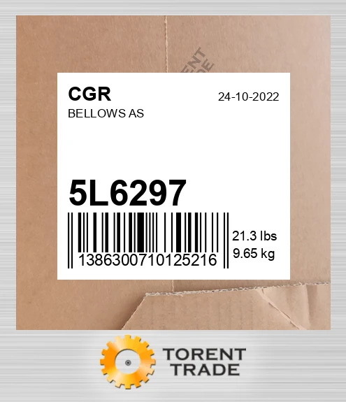 5L6297 СИЛЬФОН У ЗБОРІ CGR