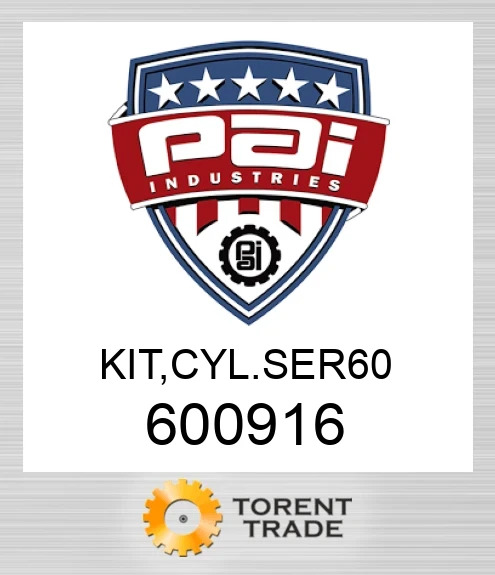 600916 Комплект, cylser 60 PAI INDUSTRIES