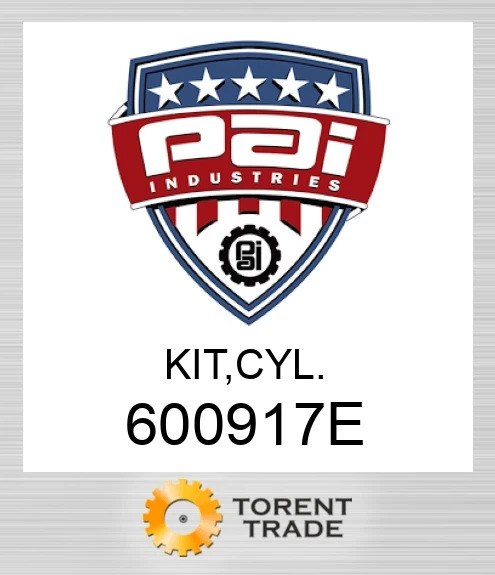600917E Комплект, циліндр PAI INDUSTRIES