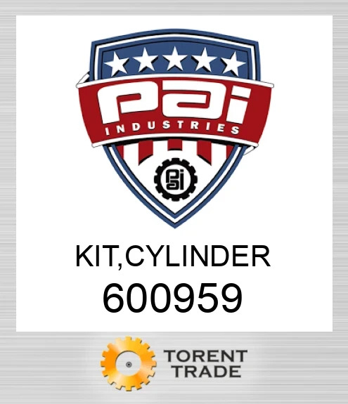 600959 Комплект, циліндр PAI INDUSTRIES