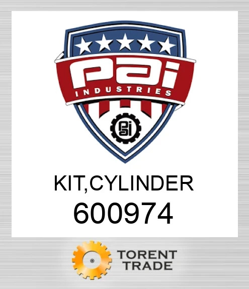 600974 Комплект, циліндр PAI INDUSTRIES