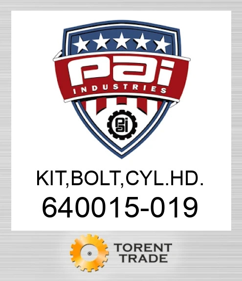 640015-019 Комплект, болт, головка блока циліндрів. PAI INDUSTRIES