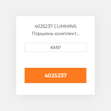 4025237 CUMMINS Поршень комплект PISTON CLIPS & RINGS