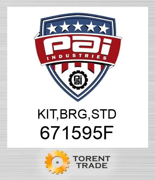 671595F Комплект, підшипник, стандартний PAI INDUSTRIES