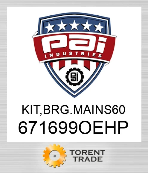 671699OEHP Комплект, підшипник. основний підшипник 60 PAI INDUSTRIES