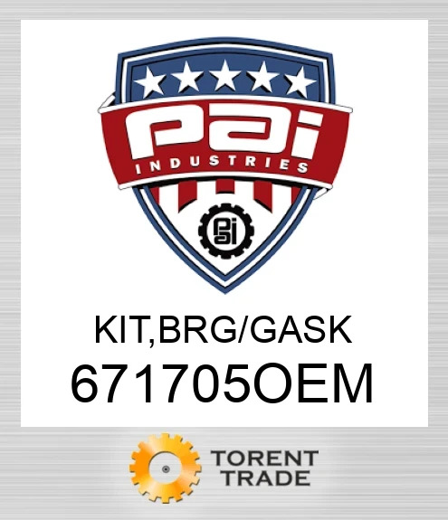 671705OEM Комплект, підшипник/gask PAI INDUSTRIES