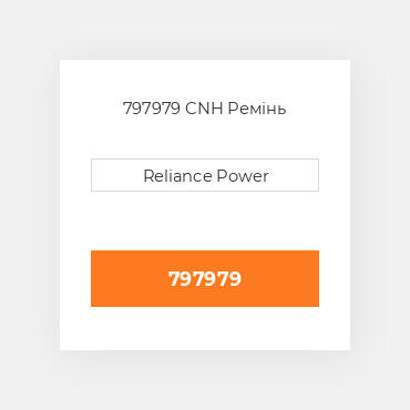 797979 CNH Ремінь
