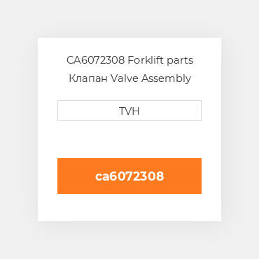 CA6072308 Forklift parts Клапан Valve Assembly