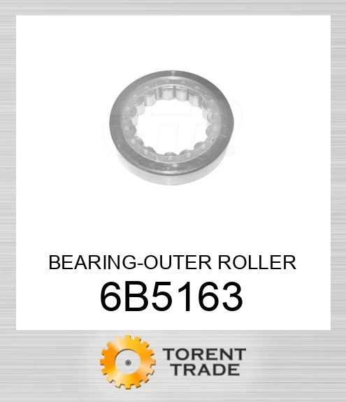 6B5163 ПІДШИПНИК-ЗОВНІШНІЙ РОЛИКОВИЙ CGR