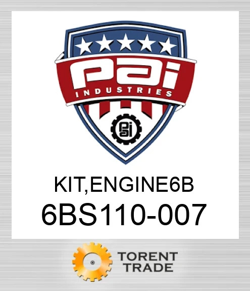 6BS110-007 Комплект, двигун  6 b PAI INDUSTRIES