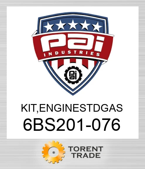 6BS201-076 Комплект, двигун stdgas PAI INDUSTRIES