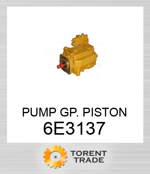 6E-3137 Група поршневого насоса BLUMAQ