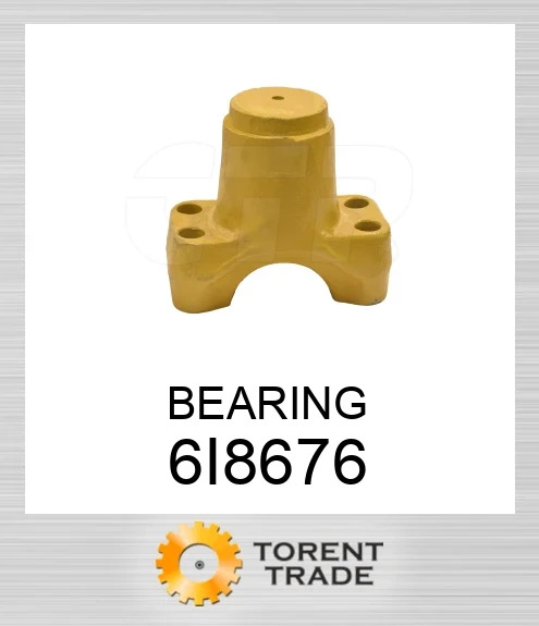 6I-8676 Підшипник BLUMAQ