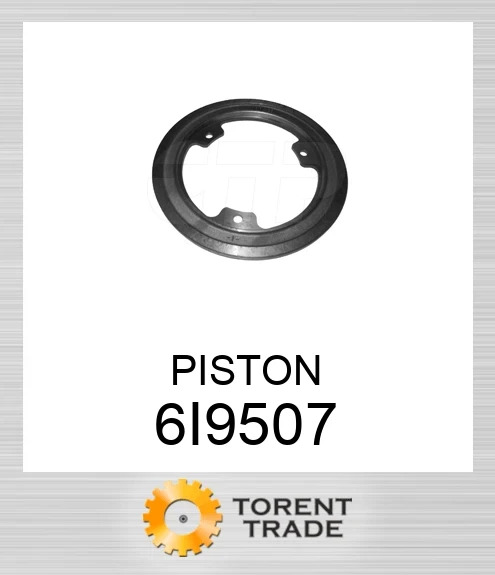 6I-9507 Поршень BLUMAQ