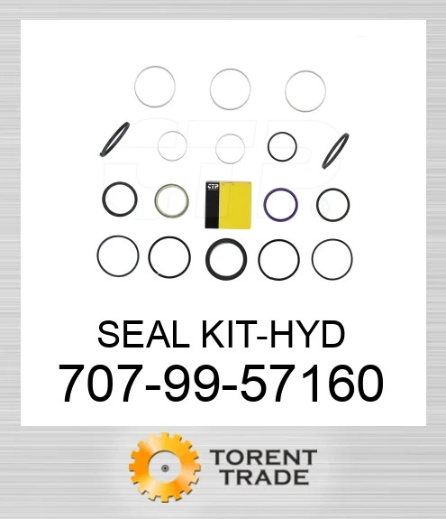 7079957160 Набір сальників гідравліки CATERPILLAR