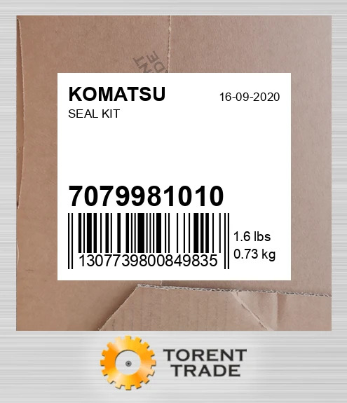 707-99-81010 Набір сальників ETP