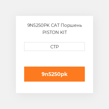 9N5250PK CAT Поршень PISTON KIT