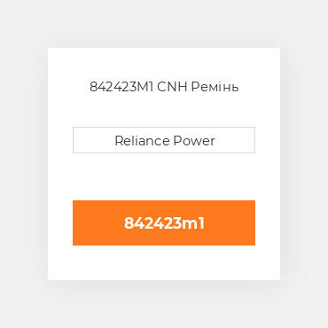 842423M1 CNH Ремінь