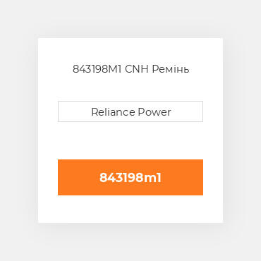 843198M1 CNH Ремінь
