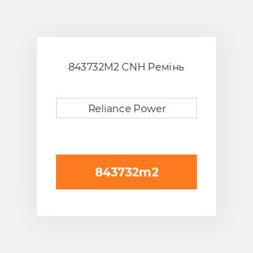 843732M2 CNH Ремінь
