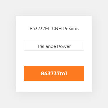843737M1 CNH Ремінь