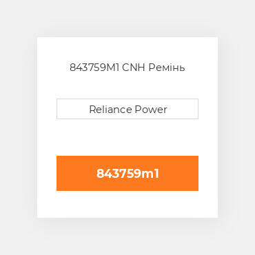 843759M1 CNH Ремінь