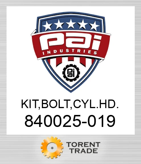 840025-019 Комплект, болт, головка блока циліндрів. PAI INDUSTRIES